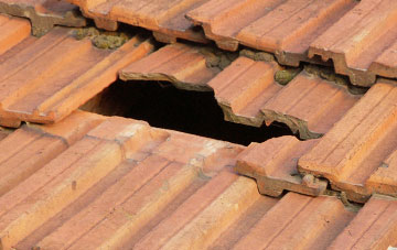 roof repair Millway Rise, Devon