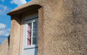 Millway Rise thatch roof disadvantages